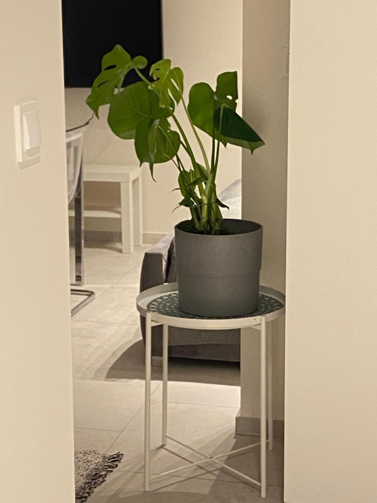 Apartmán Marina 6 Delux Niechorze Exteriér fotografie
